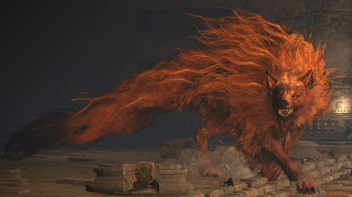 red wolf radagon